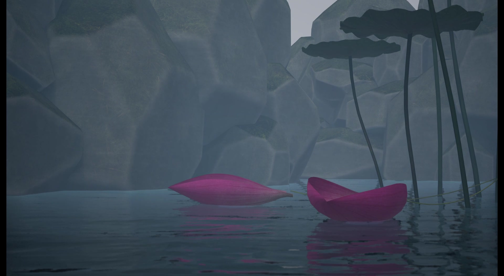Final film frame of two pink petals floating beneath the canopy